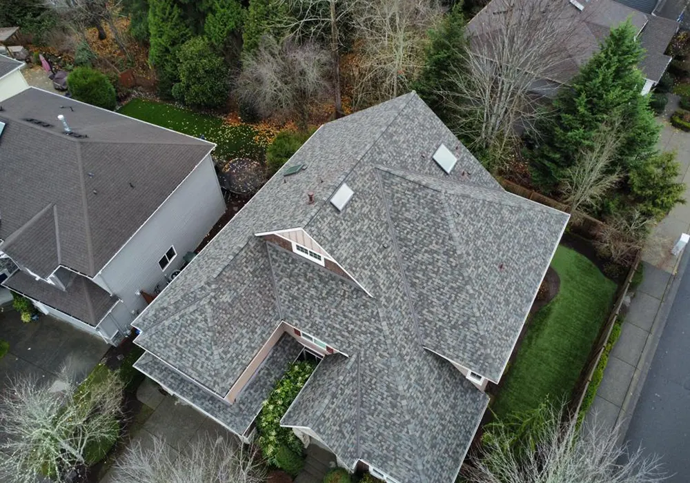 New Roof Replacement